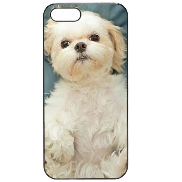 Adorable Shih Tzu Puppy Phone Case