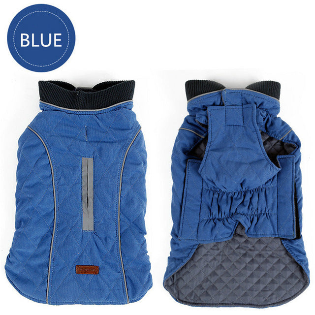 Toasty-Warm Quilted Winter Dog Jacket