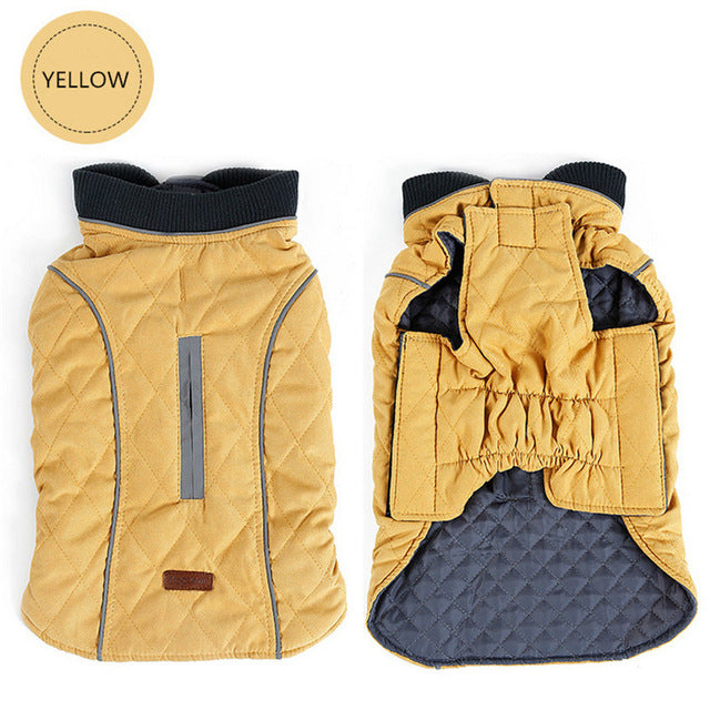 Toasty-Warm Quilted Winter Dog Jacket