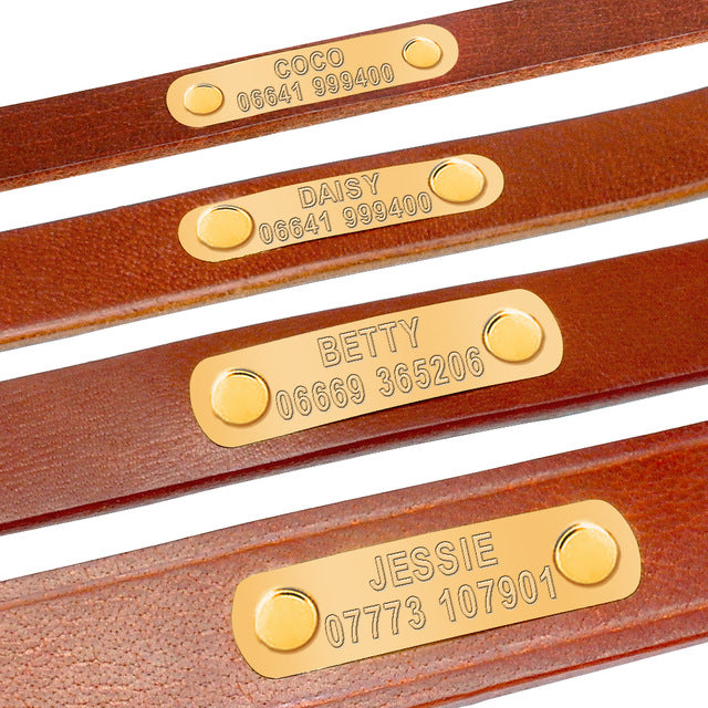 Personalized Dog ID Collar Leather Customized Engraved Pet ID Tag