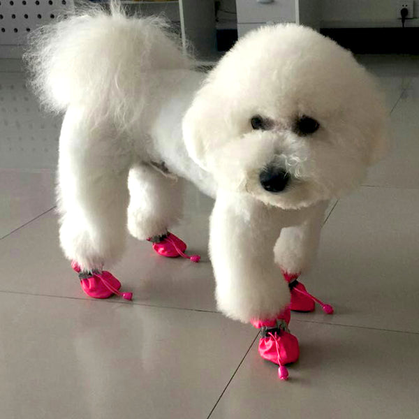 Arctic Pooch Waterproof Booties