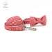 Snazzy Red Checkered Dog Collar with Matching Leash