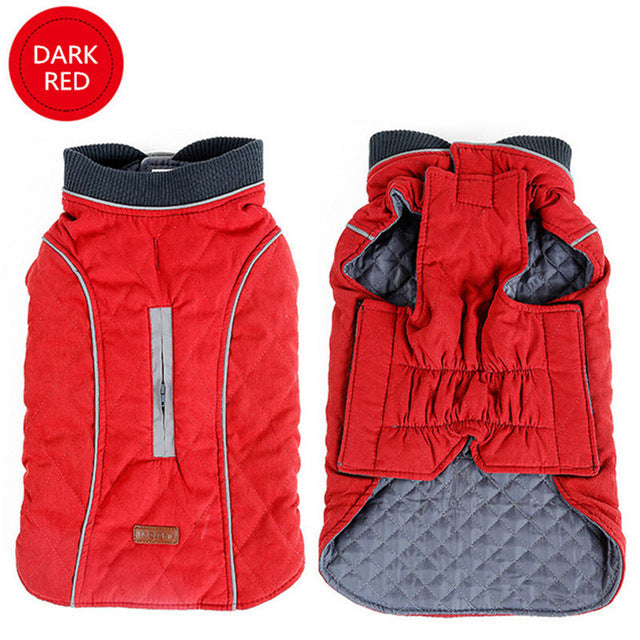 Toasty-Warm Quilted Winter Dog Jacket